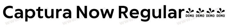 Captura Now Regular字体转换